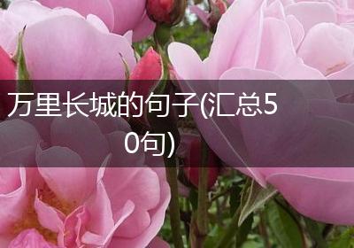 万里长城的句子(汇总50句)