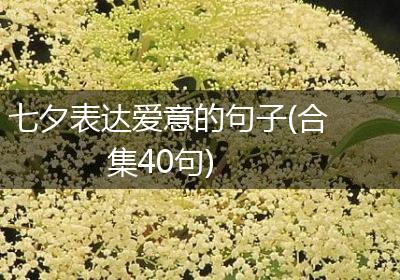 七夕表达爱意的句子(合集40句)