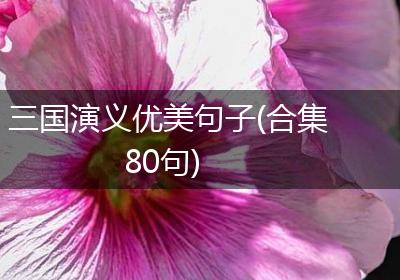 三国演义优美句子(合集80句)