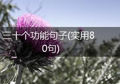 三十个功能句子(实用80句)