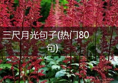 三尺月光句子(热门80句)