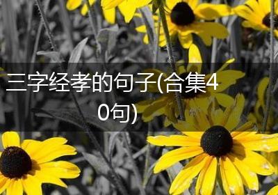 三字经孝的句子(合集40句)