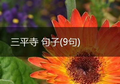 三平寺 句子(9句)
