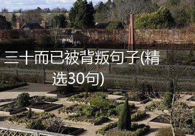 三十而已被背叛句子(精选30句)
