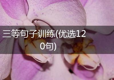 三等句子训练(优选120句)