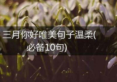 三月你好唯美句子温柔(必备10句)
