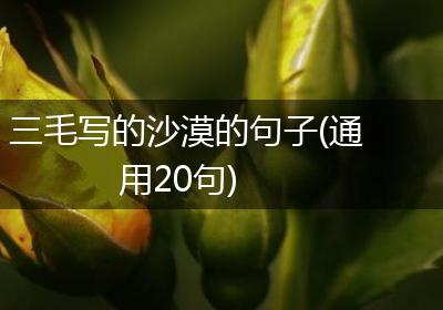 三毛写的沙漠的句子(通用20句)