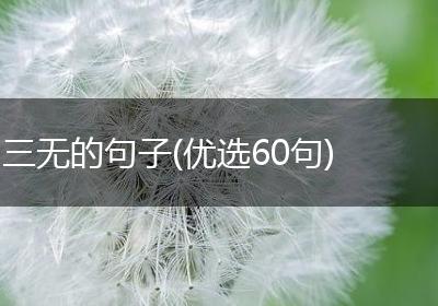 三无的句子(优选60句)