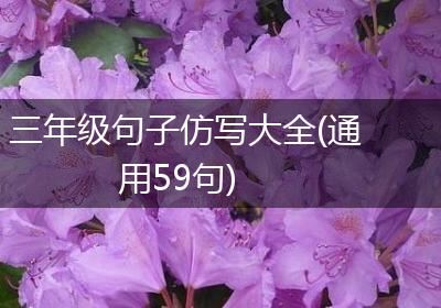 三年级句子仿写大全(通用59句)