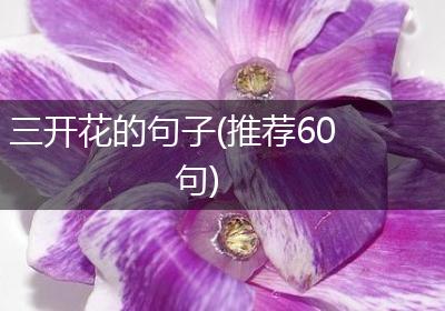 三开花的句子(推荐60句)