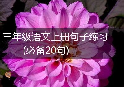 三年级语文上册句子练习(必备20句)