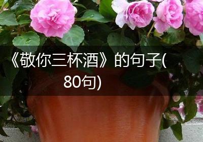 《敬你三杯酒》的句子(80句)