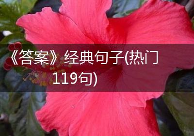 《答案》经典句子(热门119句)