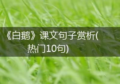 《白鹅》课文句子赏析(热门10句)