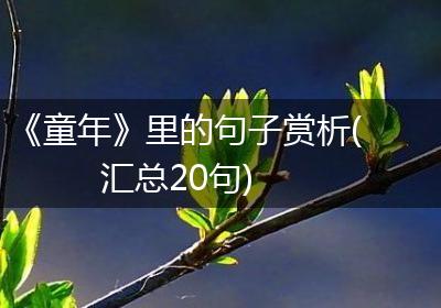 《童年》里的句子赏析(汇总20句)