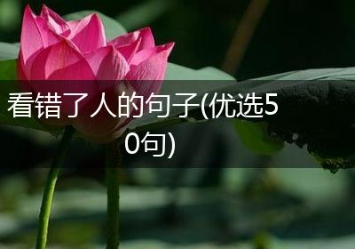 看错了人的句子(优选50句)