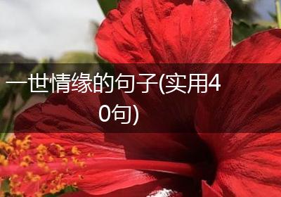 一世情缘的句子(实用40句)