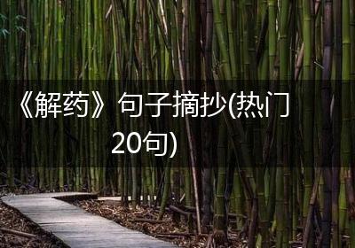《解药》句子摘抄(热门20句)
