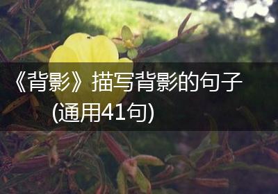 《背影》描写背影的句子(通用41句)