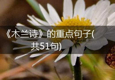 《木兰诗》的重点句子(共51句)