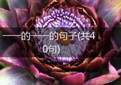 一一的一一的句子(共40句)