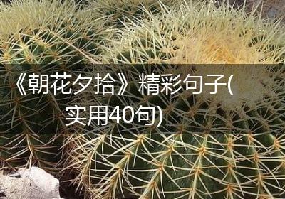 《朝花夕拾》精彩句子(实用40句)