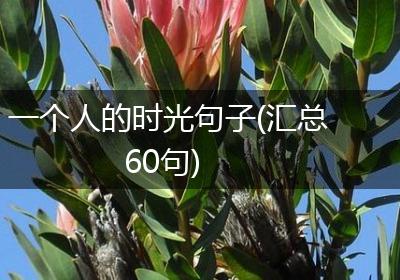 一个人的时光句子(汇总60句)