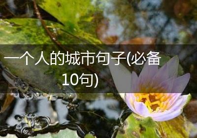 一个人的城市句子(必备10句)