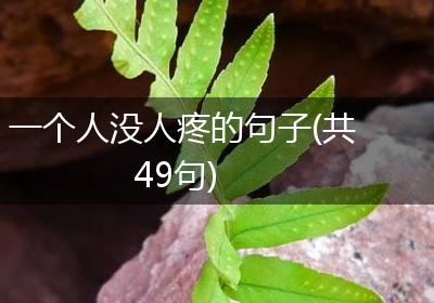 一个人没人疼的句子(共49句)