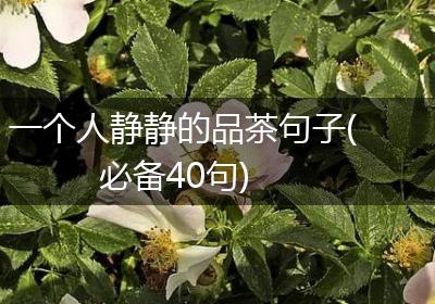 一个人静静的品茶句子(必备40句)