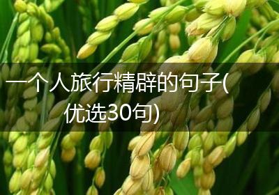 一个人旅行精辟的句子(优选30句)