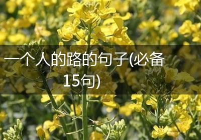 一个人的路的句子(必备15句)
