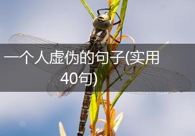 一个人虚伪的句子(实用40句)