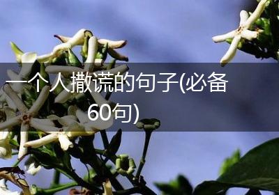 一个人撒谎的句子(必备60句)