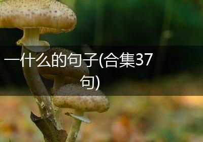 一什么的句子(合集37句)