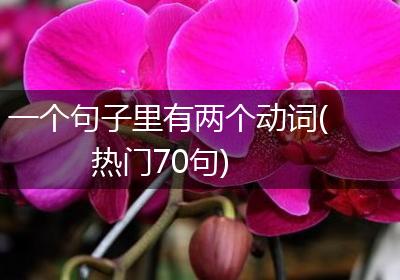 一个句子里有两个动词(热门70句)