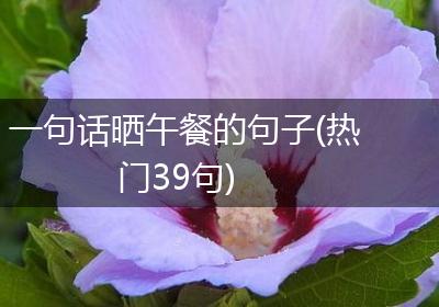 一句话晒午餐的句子(热门39句)