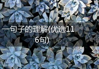 一句子的理解(优选116句)
