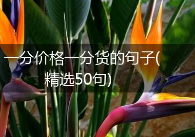 一分价格一分货的句子(精选50句)