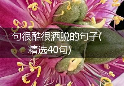 一句很酷很洒脱的句子(精选40句)