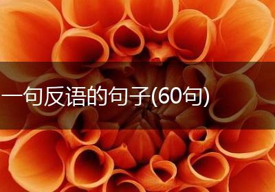 一句反语的句子(60句)