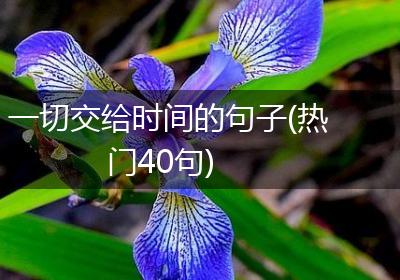 一切交给时间的句子(热门40句)