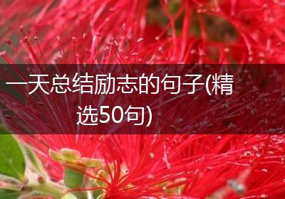 一天总结励志的句子(精选50句)