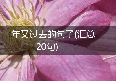 一年又过去的句子(汇总20句)