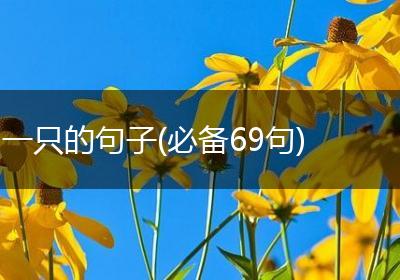 一只的句子(必备69句)