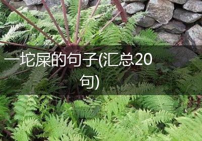 一坨屎的句子(汇总20句)
