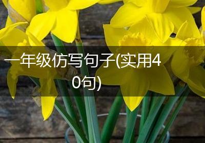 一年级仿写句子(实用40句)