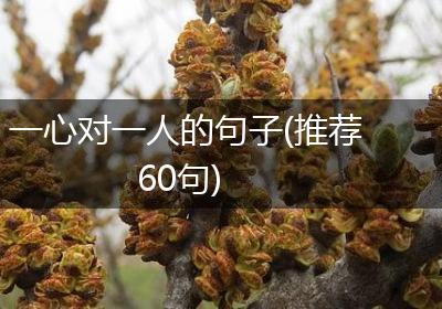一心对一人的句子(推荐60句)