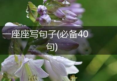 一座座写句子(必备40句)