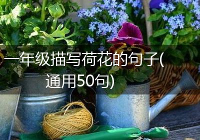 一年级描写荷花的句子(通用50句)